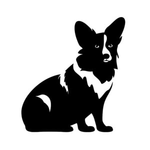 dogs_1679693167820233.jpeg
