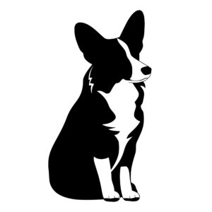 dogs_1679693172831480.jpeg