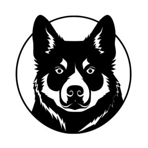 dogs_1679863964246237.jpeg