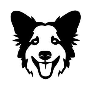 dogs_1679864698635360.jpeg