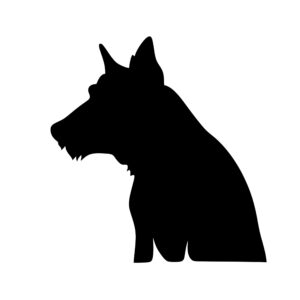 dogs_1679865201829173.jpeg