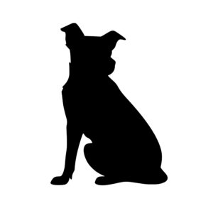 dogs_1679865403288445.jpeg