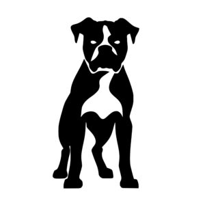 dogs_1679865456113822.jpeg
