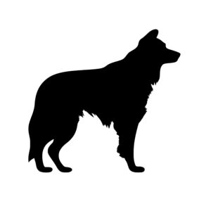 dogs_167986545695417.jpeg