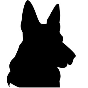 Alert German Shepherd