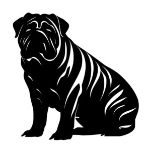 Shar Pei with Wrinkles