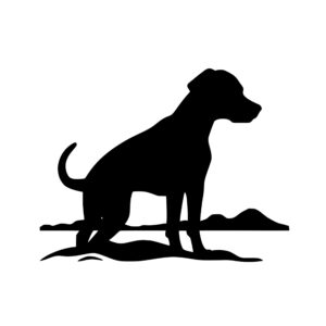 dogs_1679865510315442.jpeg