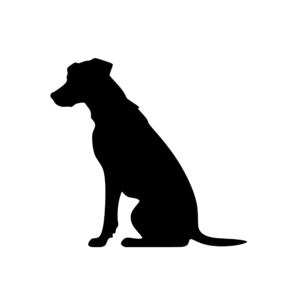 dogs_1679865520592453.jpeg