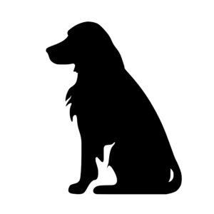 dogs_1679865520601357.jpeg