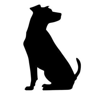 dogs_1679865582420967.jpeg