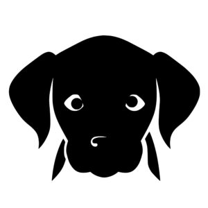 dogs_1679865587450572.jpeg