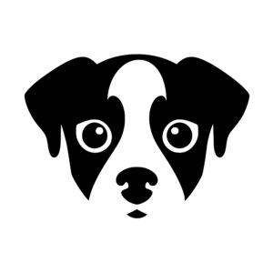 dogs_1679865587468713.jpeg