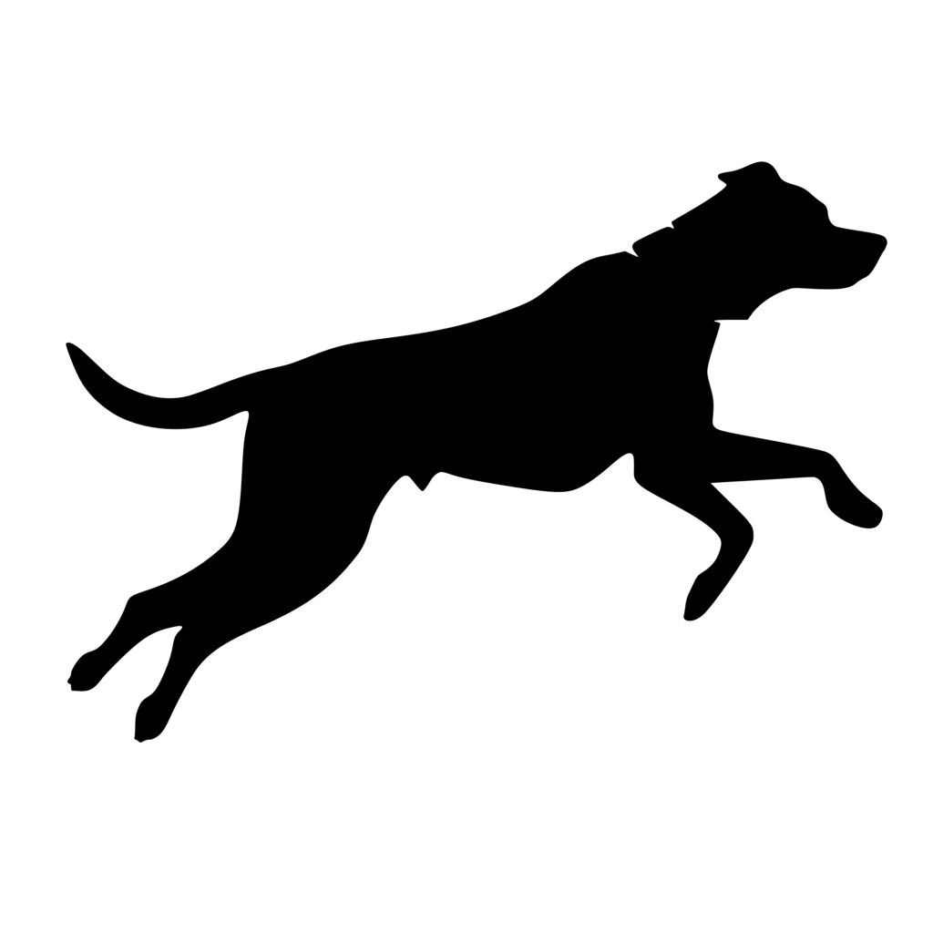 Playful Pup SVG File for Cricut, Silhouette, and Laser Machines