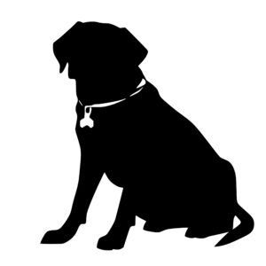 dogs_1679865587515010.jpeg