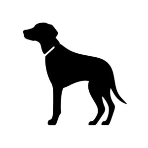 dogs_1679865587524293.jpeg
