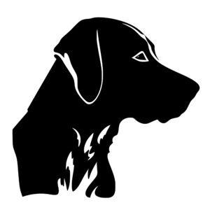 dogs_1679865587578289.jpeg
