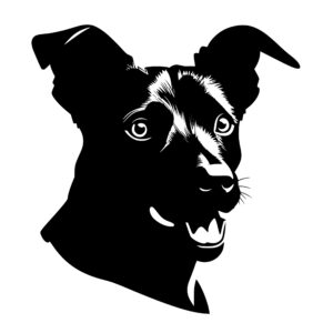 dogs_167999993211743.jpeg