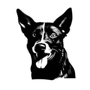 dogs_167999993220757.jpeg
