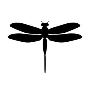dragonflies_167986434320031.jpeg