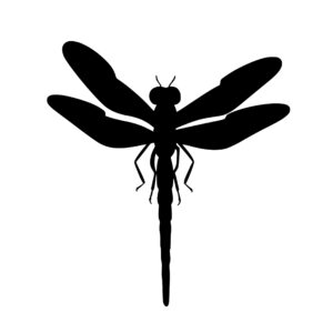 dragonflies_167986434328810.jpeg