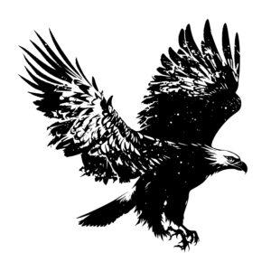 eagle_1679346043898272.jpeg