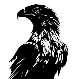 eagle_1679346043931076.jpeg
