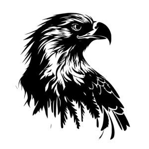Freedom of the Eagle