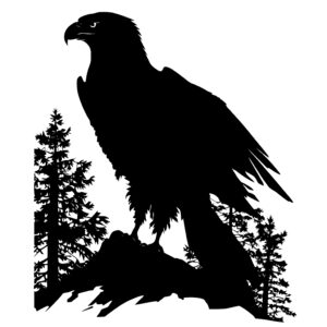 Eagle Silhouette