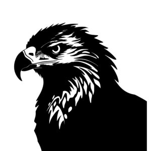 eagle_1679999814593482.jpeg