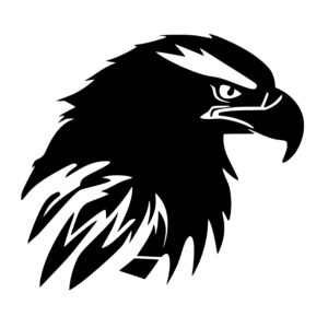 eagles_167986468394129.jpeg