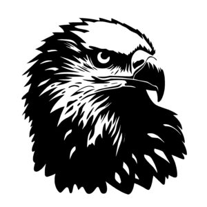 Detailed Eagle Face