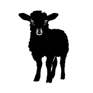 farm_animals_1679864117438853.jpeg
