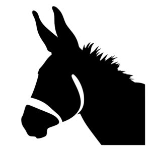 farm_animals_1679864342993810.jpeg