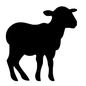 farm_animals_167986448815052.jpeg