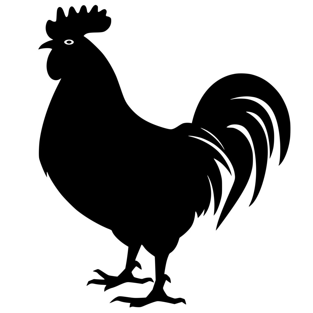 Rustic Rooster SVG File Instant Download for Cricut, Silhouette, Laser