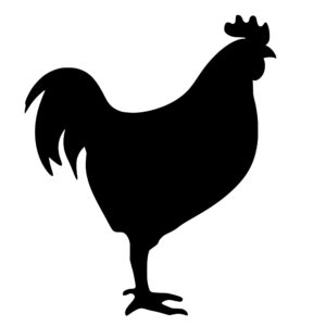 farm_animals_1679865403241647.jpeg