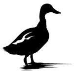 Quack Quack Duckling