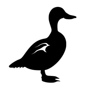 farm_animals_1679865408346641.jpeg