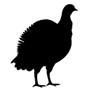 farm_animals_1679865413552598.jpeg