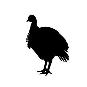 farm_animals_1679865413570624.jpeg