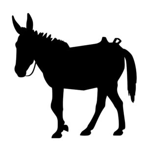 farm_animals_1679865461248791.jpeg