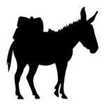Donkey with Saddle Bags