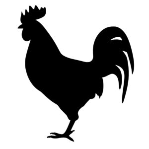 farm_animals_1679865510215703.jpeg