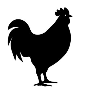 farm_animals_1679865510224977.jpeg