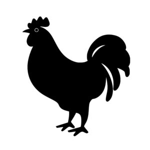 farm_animals_1679865510243405.jpeg