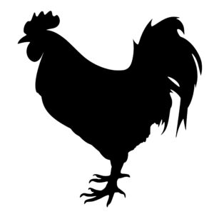 farm_animals_1679865510270689.jpeg