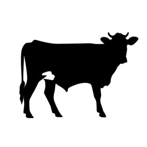 farm_animals_1679865515390722.jpeg