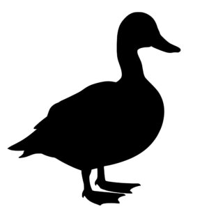 farm_animals_1679865520508615.jpeg