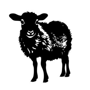 farm_animals_1679999937177453.jpeg