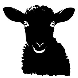 farm_animals_1679999937187953.jpeg